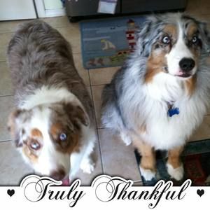 Meet your Posher, Deb